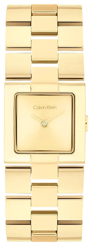 CALVIN KLEIN 25100089