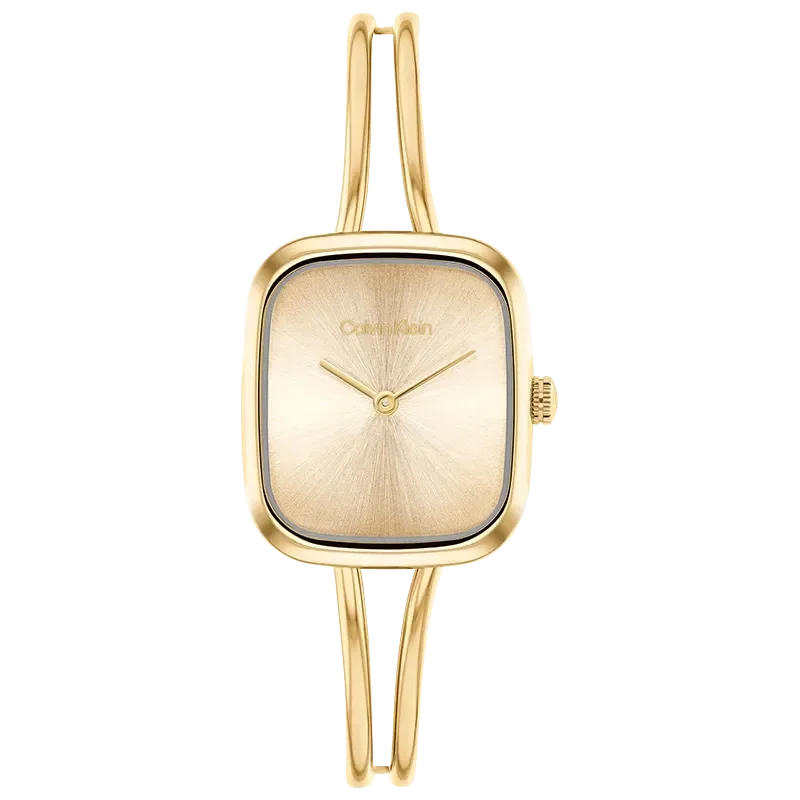 CALVIN KLEIN 25100132