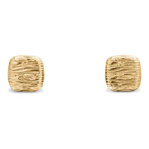 CALVIN KLEIN GP EARRINGS 35001010