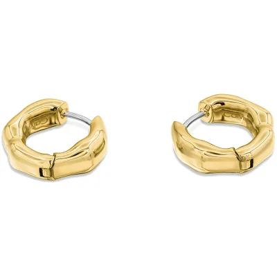 CALVIN KLEIN GP EARRINGS 35001018