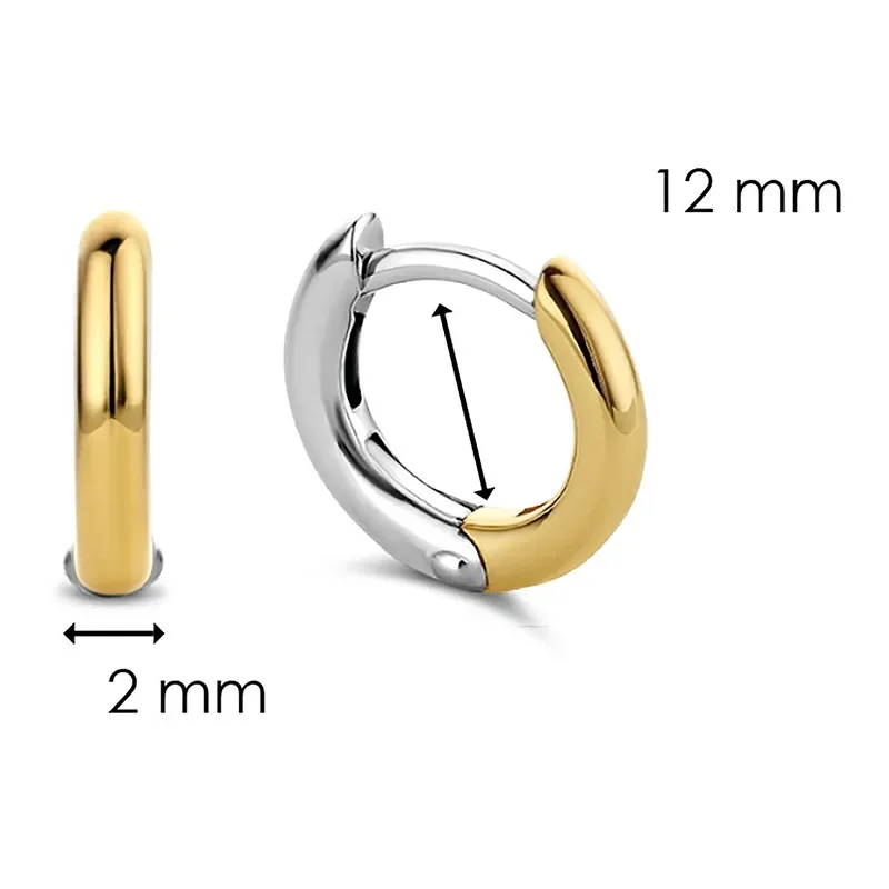 TI SENTO - MILANO EARRINGS 7811SY