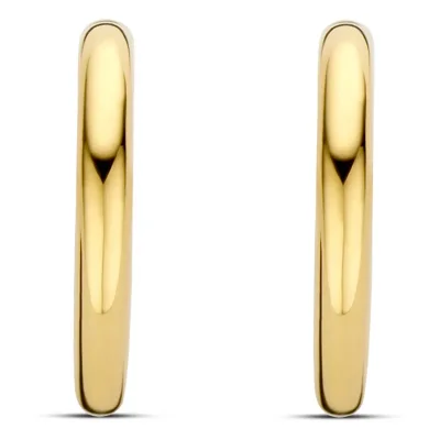 TI SENTO - MILANO EARRINGS 7917SY