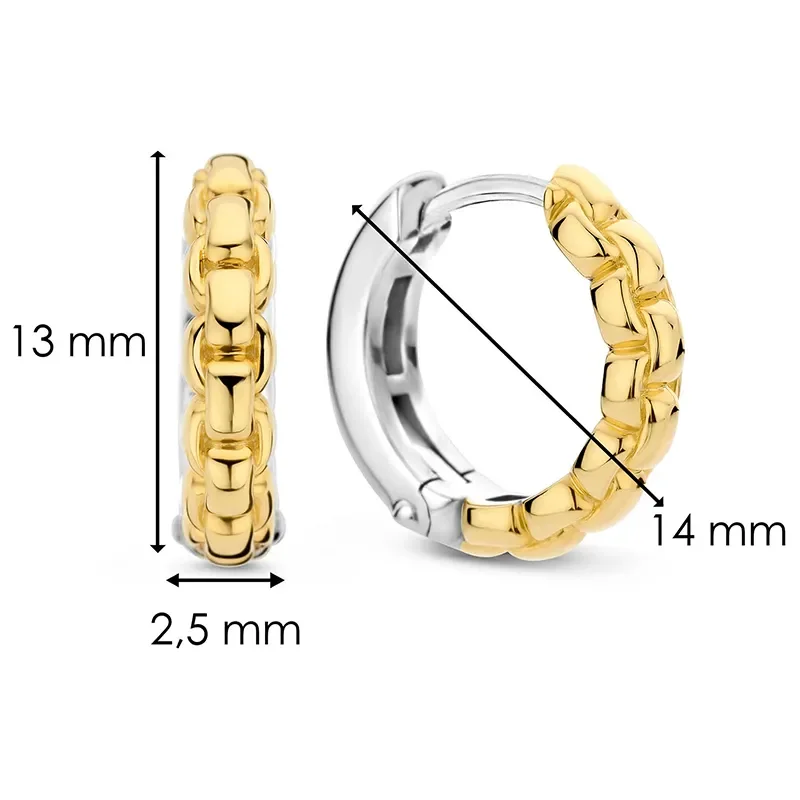 TI SENTO - MILANO EARRINGS 7961SY