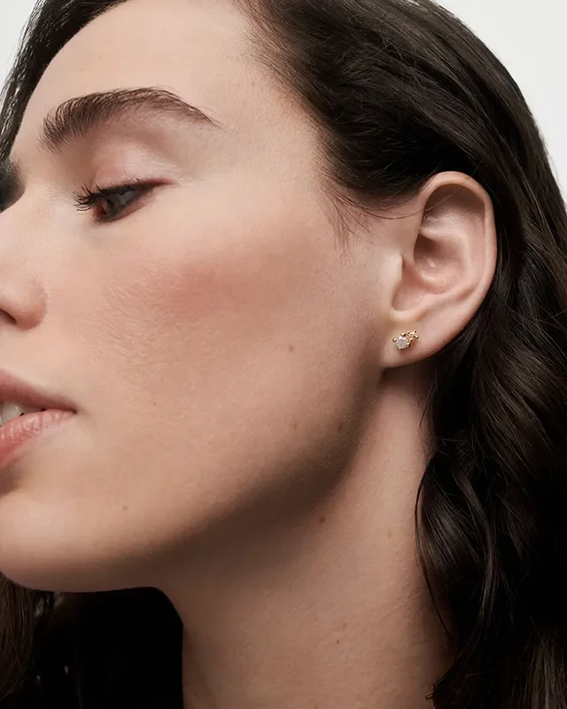 PDPAOLA FOG STUD EARRINGS AR01-C68-U