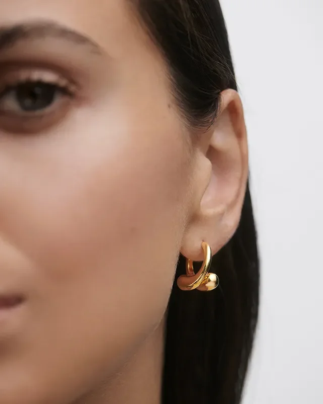 PDPAOLA LOOP HOOP EARRINGS AR01-C85-U