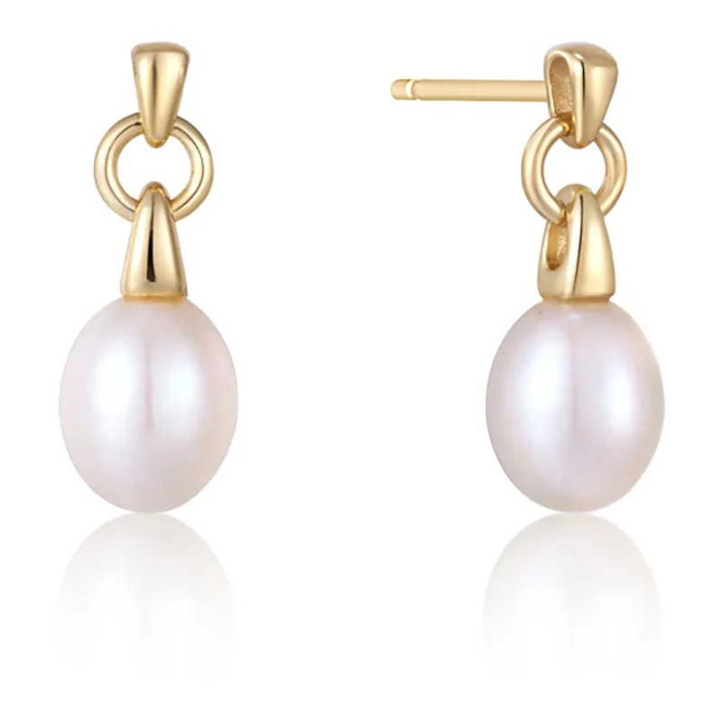 ANIA HAIE EARRINGS E043-02G