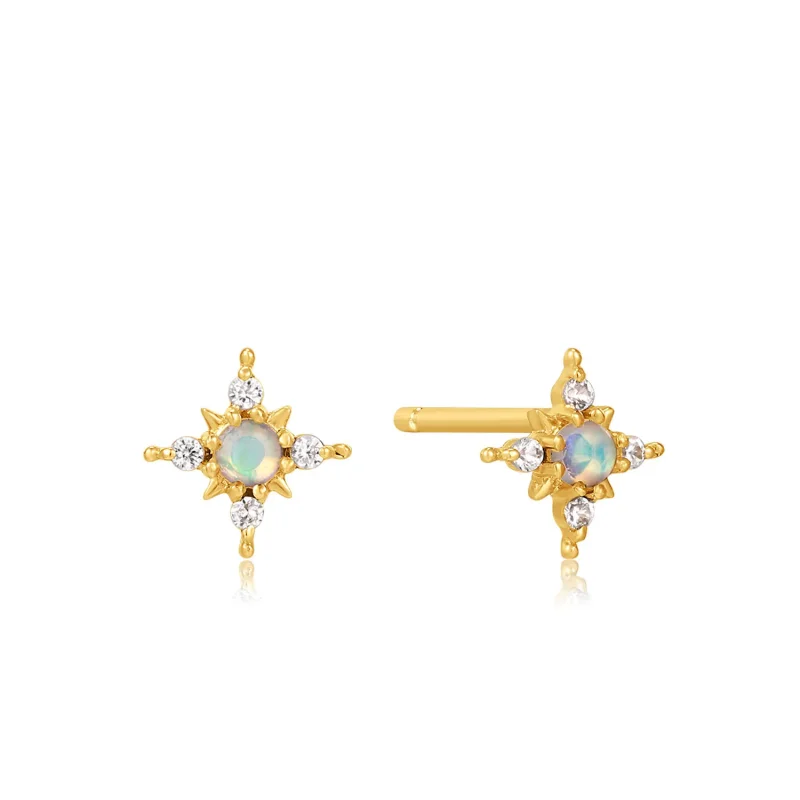 ANIA HAIE 14 KT GOLD STUD EARRINGS EAU001-09YG