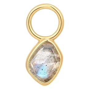 ANIA HAIE EARRING CHARM LABRADORITE EC048-07G