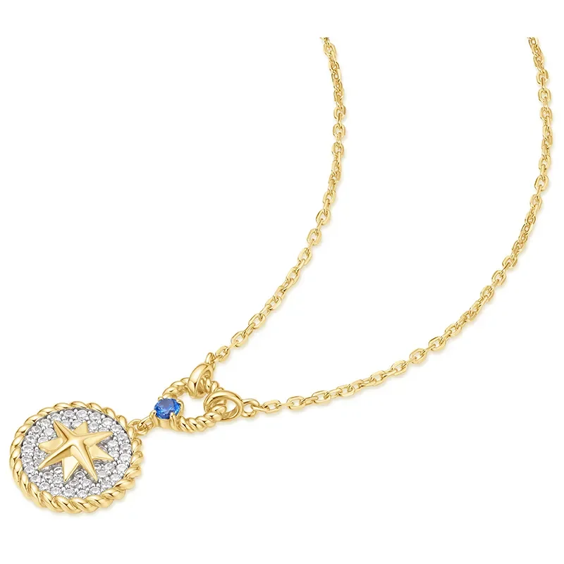 ANIA HAIE TWO-TONE EIGHT-POINTED STAR SIGNET NECKLACE N063-05T