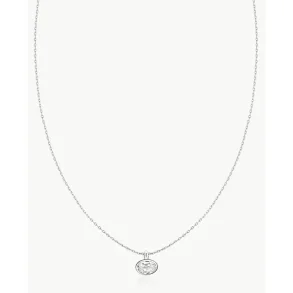 ANIA HAIE SILVER BEZEL ORGANIC PEBBLE NECKLACE N076-03H