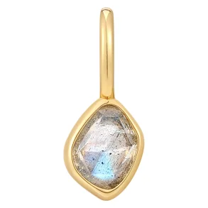 ANIA HAIE CHARM LABRADORITE NC048-11G